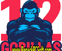 Gorillas Scraper v1.0 Free Download