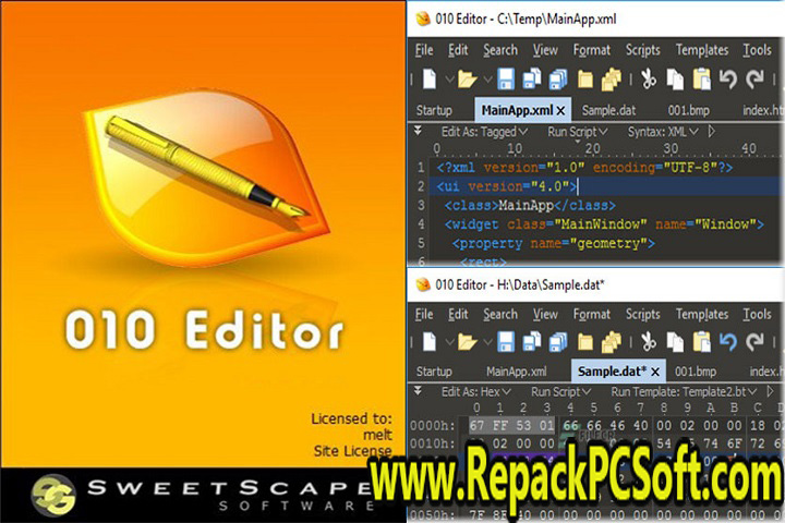 SweetScape 10 Editor 13.0 Free Download