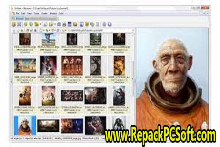 XnView 2.51.1 Complete Multilingual Free Download