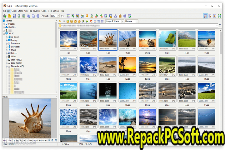 FastStone Image Viewer v7.7 Free Download 