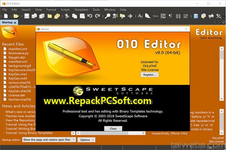 SweetScape 010 Editor 13.0 Free Download With Key