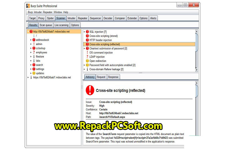 Burp Suite Professional 2022.11.4 Free Download With Key