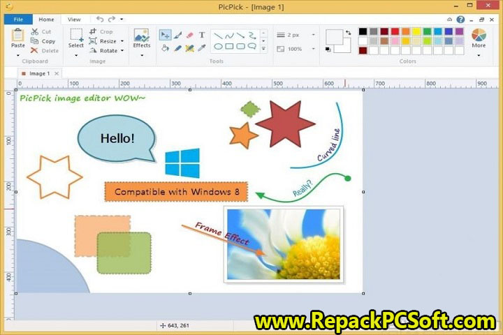 PicPick Professional 7.0.0 Free Download With Patch