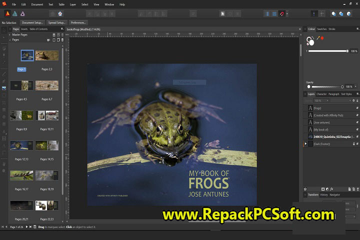 Serif Affinity Publisher 1.10.5.1342 Free Download With Key