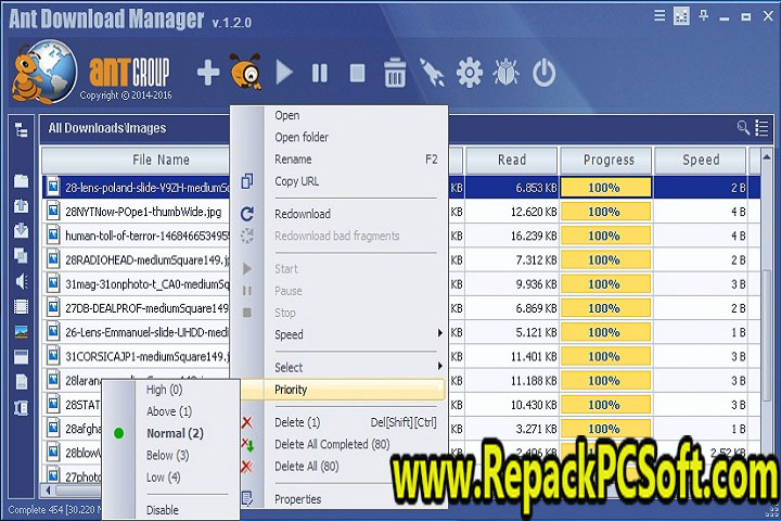 Ant Download Manager Pro v2.8.3 Free Download