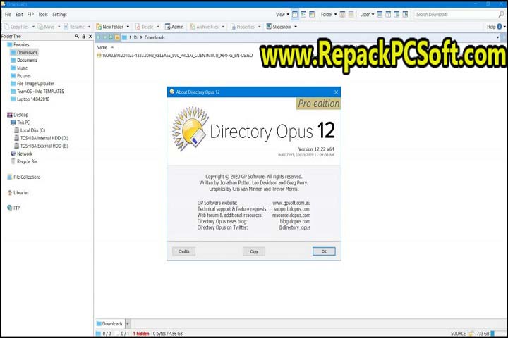 Directory Opus Pro v12.29 Free Download