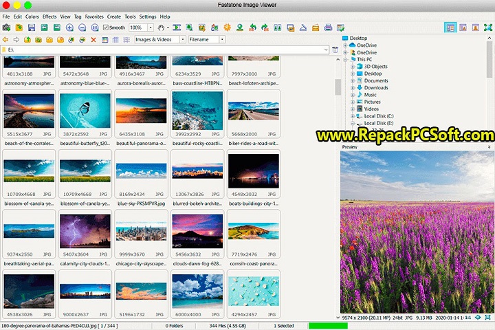 FastStone Image Viewer 4.8 Free Download