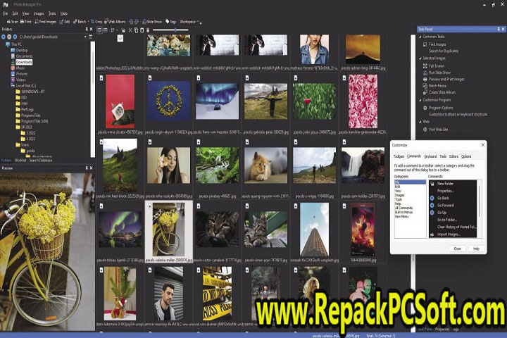 Proxima Photo Manager Pro v4.0 Free Download