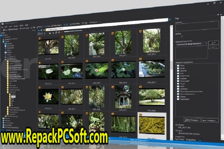 Proxima Photo Manager Pro v4.0 Free Download
