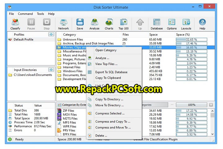 Disk Sorter Ultimate 14.8.12 Free Download With Key