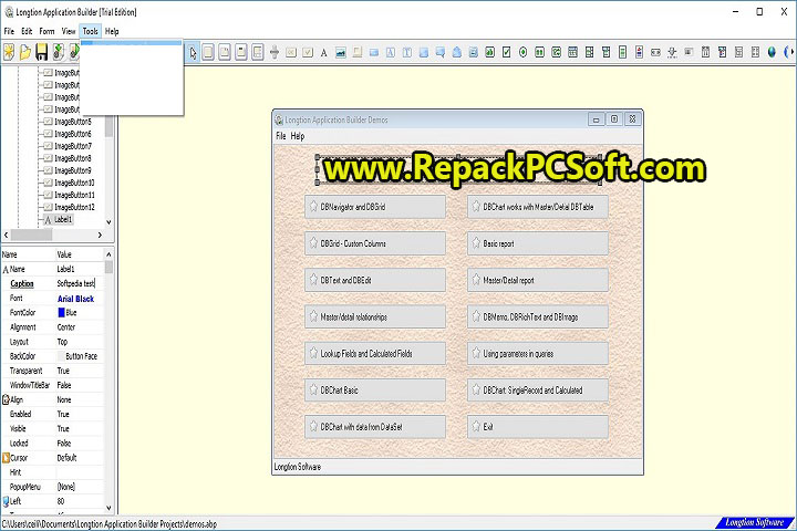 Longtion Database Application Builder 4.8.0.488 Free Download With Key