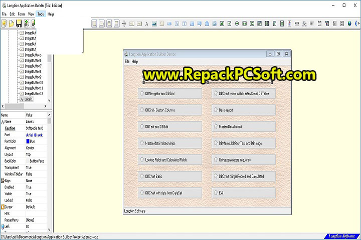Longtion Database Application Builder 4.8.0.488 Free Download With Patch